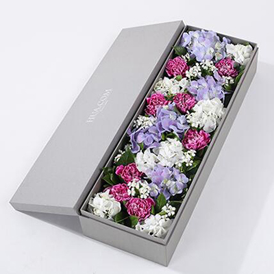 紫色白邊康乃馨8枝、白繡球1枝、藍(lán)紫色繡球1枝